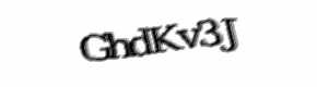 Security check image, please type the characters shown
